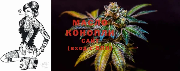 индика Пересвет
