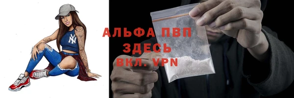индика Пересвет