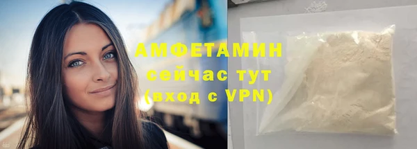 индика Пересвет