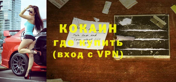 индика Пересвет