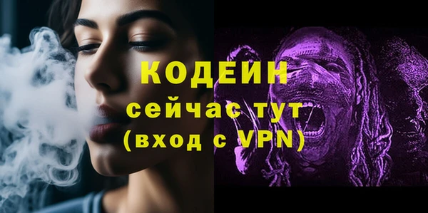 индика Пересвет