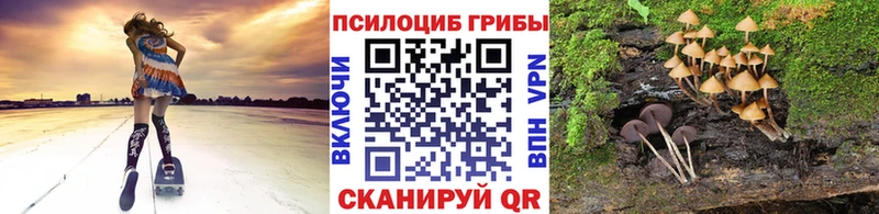 Псилоцибиновые грибы прущие грибы  Козельск 